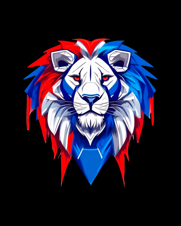 Remeras Cuello Redondo Negra Paraguay Versión 1