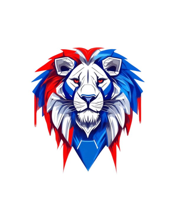 Remeras Cuello Redondo Blanco Paraguay Versión 1